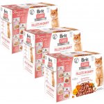 Brit Care Cat Fillet in Gravy krůta kachna losos a kuře 12 x 85 g – Sleviste.cz
