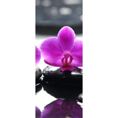 WEBLUX 34882612 Samolepka na lednici fólie Two orchid and black stone with reflection Dva orchidejové a černé kameny s odrazem rozměry 80 x 200 cm