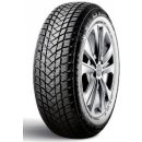 Osobní pneumatika GT Radial WinterPro 2 185/65 R14 86T