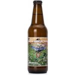 Pragers Kombucha Original 330 ml – Zboží Dáma