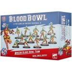 GW Warhammer Blood Bowl Amazon Team – Hledejceny.cz