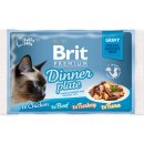 Krmivo pro kočky Premium Dinner Plate JELLY 4 x 85 g