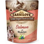 Carnilove Dog Pouch Paté Salmon with Blueberries for Puppies 300 g – Hledejceny.cz