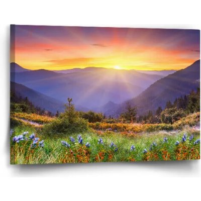 Sablio Obraz Západ slunce nad lesem - 60x40 cm – Hledejceny.cz