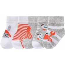 Lupilu Chlapecké ponožky BIO 5 párů