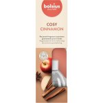 Bolsius Aromatic 2.0 Diffuser Apple Cinnamon vonná stébla 45 ml – Zboží Dáma