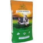 Energys Brojler Mini Forte drcená krmná směs 25 kg – Zboží Dáma