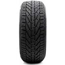 Riken Snow 205/45 R17 88V