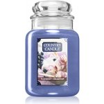 Country Candle Blueberry Cream Pop 652 g – Hledejceny.cz