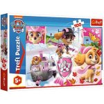 Trefl Paw Patrol Tlapková patrola Skye v akci 16368 100 dílků – Zbozi.Blesk.cz