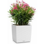 Lechuza Cube Cottage 30x30x30 cm Bílý – Hledejceny.cz