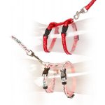 Duvo+ Laroy Group Postroj a vodítko cat Diamant 20 - 35 cm 10 mm 125 cm – Sleviste.cz