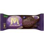 Magnum Vegan Chill 90ml – Zbozi.Blesk.cz