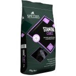 Spillers Stamina cubes granule 20 kg – Zbozi.Blesk.cz