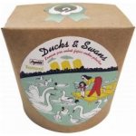 Apetit Ducks & Swans krmivo pro vodní ptactvo 750 ml – Sleviste.cz