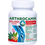 Annabis Arthrocann Collagen Omega 3-6 Forte 60 tablet – Hledejceny.cz