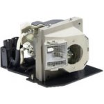 Lampa pro projektor OPTOMA THEME-S HD980, Kompatibilní lampa s modulem – Hledejceny.cz