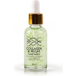 tianDe Collagen Active Pleťová esence s kolagenem 30 ml – Zboží Dáma