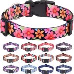 HQYDDMI obojek pro psy měkký a pohodlný nylonový obojek pro psy nastavitelný pro kočky štěňata, – Zboží Mobilmania