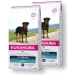 Eukanuba Labrador Retriever 2 x 12 kg – Hledejceny.cz