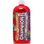 Amix Champion Sports Fuel ovocný punch 1000ml – Hledejceny.cz