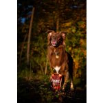 Marp Holistic Kachní pamlsky s kelpou bez obilovin 150 g – Zbozi.Blesk.cz