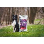 Marp Holistic Red Mix Grain Free hovězí krůtí zvěřina 12 kg – Hledejceny.cz
