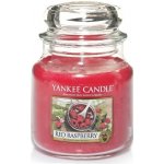 Yankee Candle Red Raspberry vonný vosk 22,7 g – Hledejceny.cz