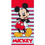 Carbotex Osuška 140 x 70 cm – Sleviste.cz