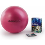 Ledragomma Gymnastik Ball Maxafe 65cm – Zboží Dáma