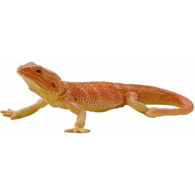 Mojo Agama – Zboží Dáma
