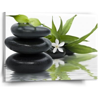 Sablio Obraz Květ s kameny - 150x110 cm – Hledejceny.cz