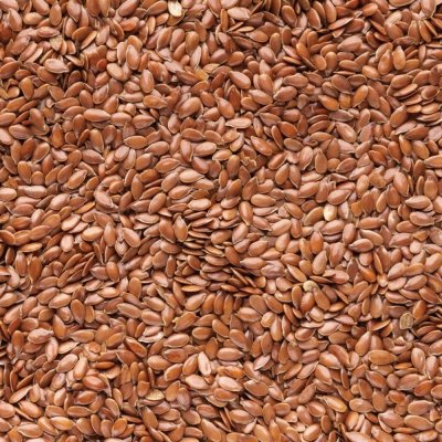 Frumenta Len hnědý olejnaté semeno lněné semínko 1000 g – Zboží Mobilmania