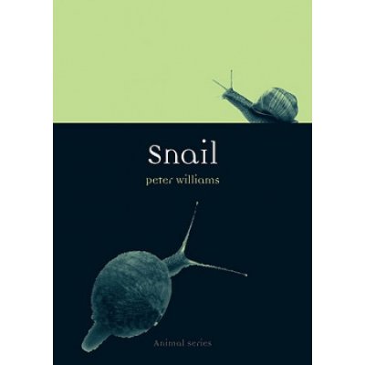 Snail - P. Williams