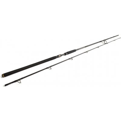 Westin W3 Powercast 2nd XH 2,48 m 20-80 g 2 díly – Zboží Mobilmania