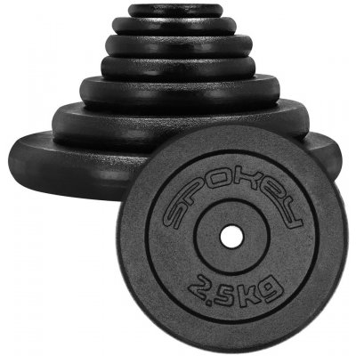 Spokey Litinový kotouč SINIS 2,5 kg 29mm – Zboží Dáma