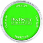 PanPastel Artists’ suchý pastel 640.5 permanent green – Hledejceny.cz