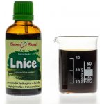 Bylinné kapky Lnice tinktura 50 ml – Hledejceny.cz