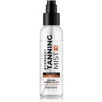 ByRokko Tanning Mist samoopalovací mlha 100 ml – Hledejceny.cz