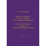 Mucous Bursae of the Upper and Lower Extremity - Bursae Muco... – Hledejceny.cz