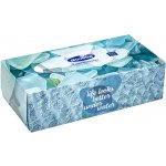 alouette Papírové kapesníky 4-vrstvé box 100 ks – Sleviste.cz