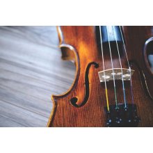Online kurz hry na housle