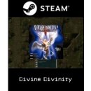 Divine Divinity