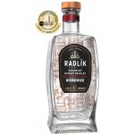 Radlík Višňovice 45% 0,5 l (holá láhev) – Zboží Dáma