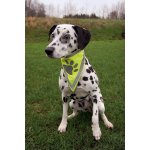 TRIXIE Reflexní šátek – Hledejceny.cz