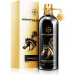 Montale Paris Arabians Tonka parfémovaná voda unisex 100 ml – Hledejceny.cz