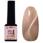 Expa-nails expanails uv/led gel lak magnetic č.13 - 5 ml – Hledejceny.cz