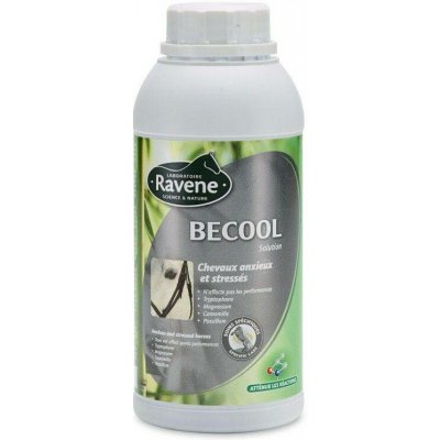 RAVENE BECOOL 0,5 l – Hledejceny.cz