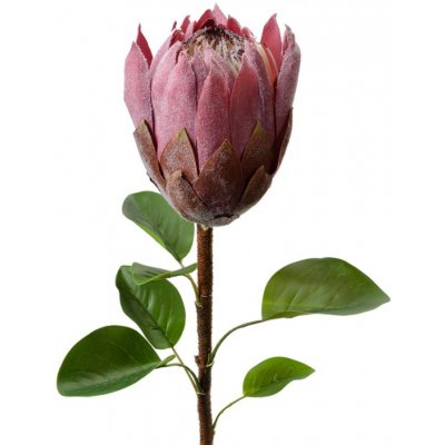 Umělá rostlina fialovo-růžová protea – 65 cm – Sleviste.cz