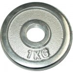 KUBIsport Kotouč chrom 1 kg 25 mm – Zboží Dáma
